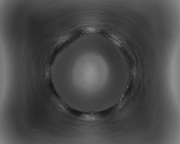 X0000086100423200704132151