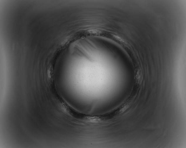 X0000086100424200704132151