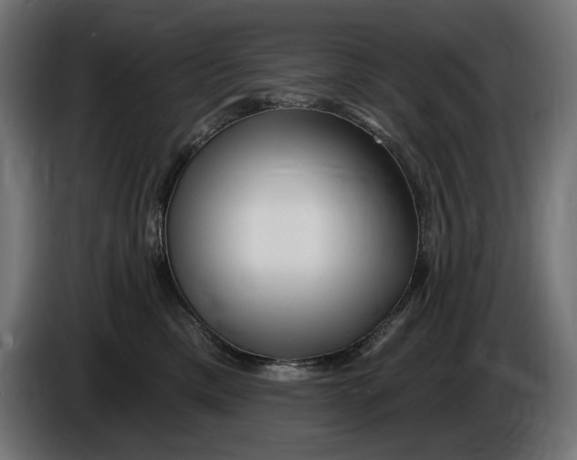 X0000086100425200704132151