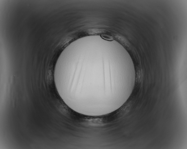 X0000086100426200704132151