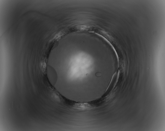 X0000086100427200704132151