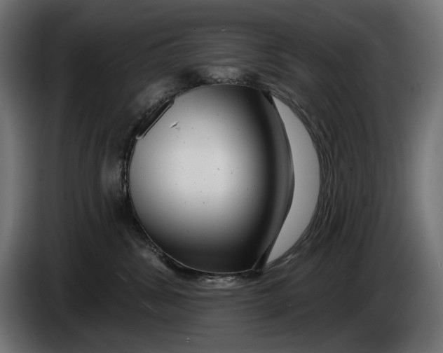 X0000086100428200704132151