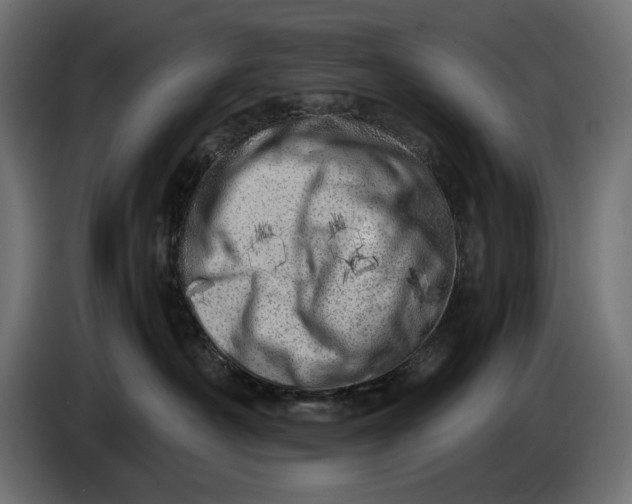 X0000086100430200704132151