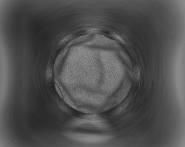 X0000086100431200704132151