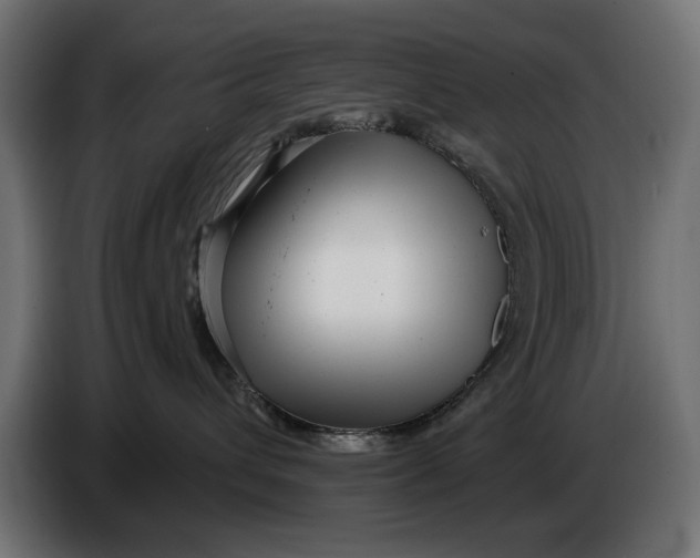 X0000086100432200704132151