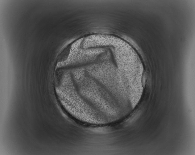 X0000086100433200704132151
