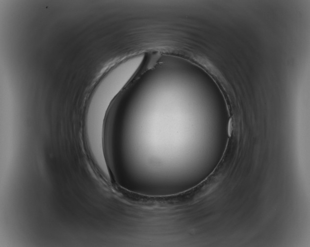 X0000086100434200704132151