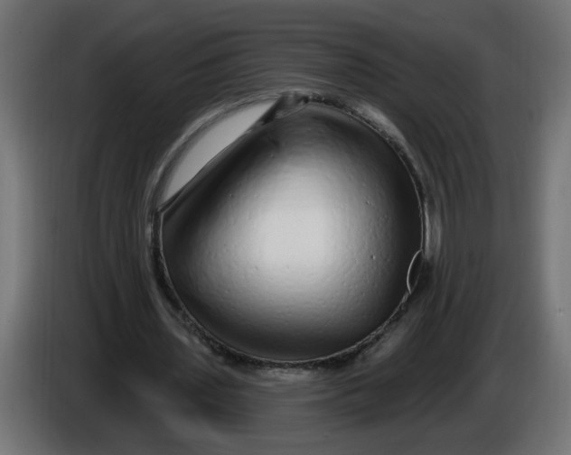 X0000086100435200704132151
