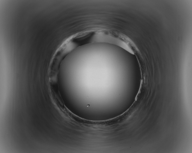 X0000086100436200704132151