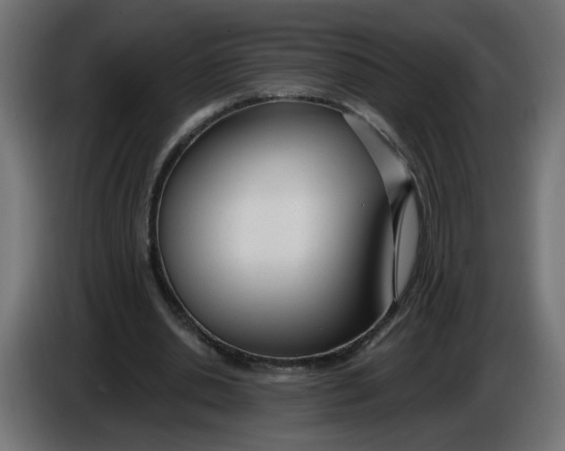 X0000086100438200704132151