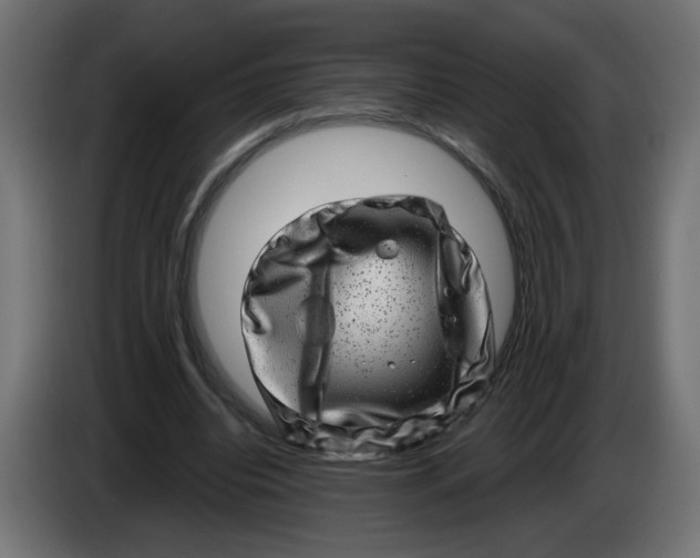 X0000086100440200704132151