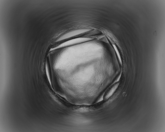 X0000086100441200704132151
