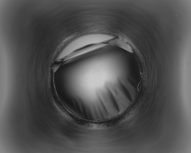 X0000086100442200704132151