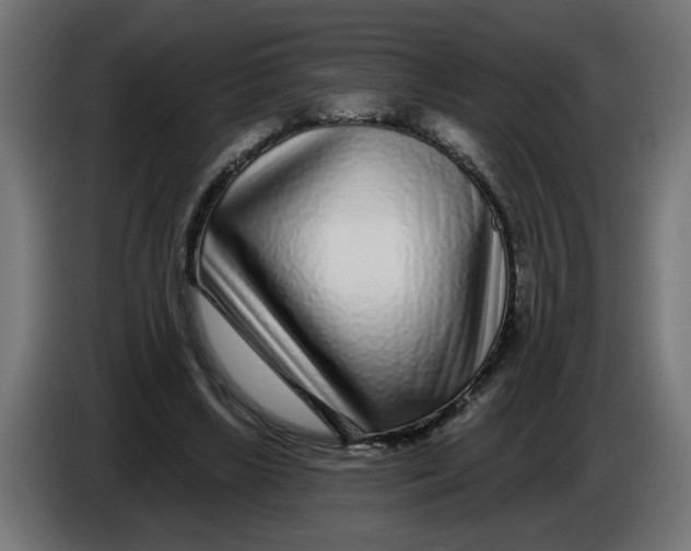 X0000086100443200704132151