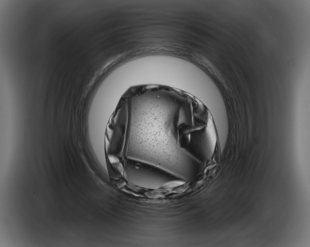 X0000086100444200704132151