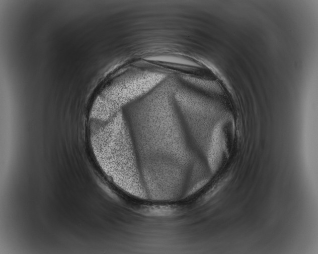X0000086100445200704132151