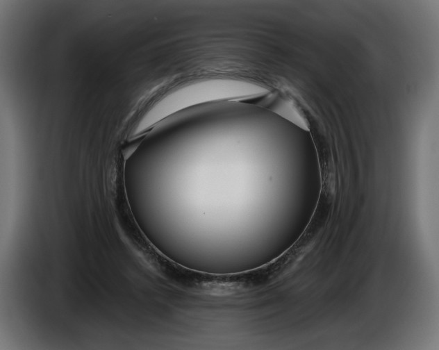 X0000086100448200704132151