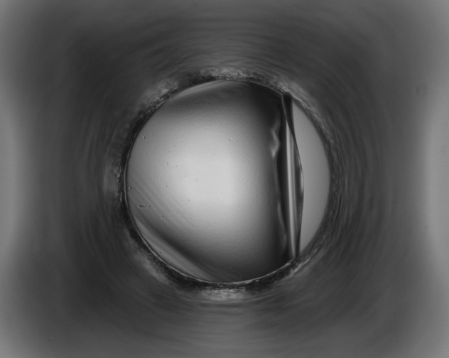 X0000086100449200704132151