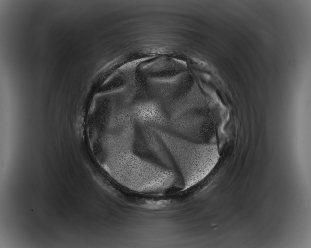 X0000086100450200704132151