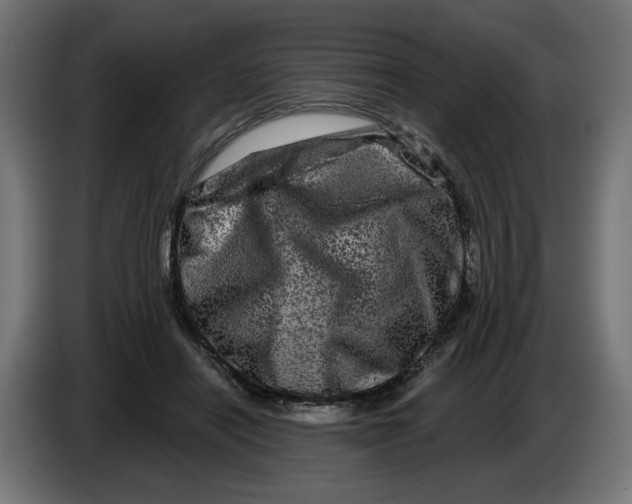 X0000086100454200704132151