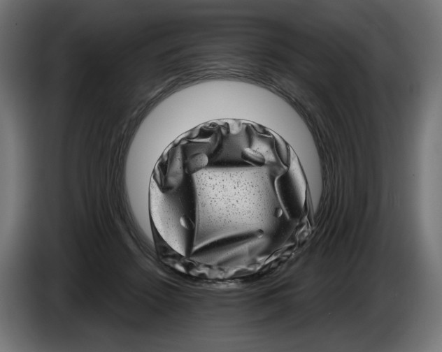 X0000086100456200704132151