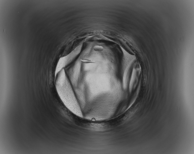 X0000086100457200704132151