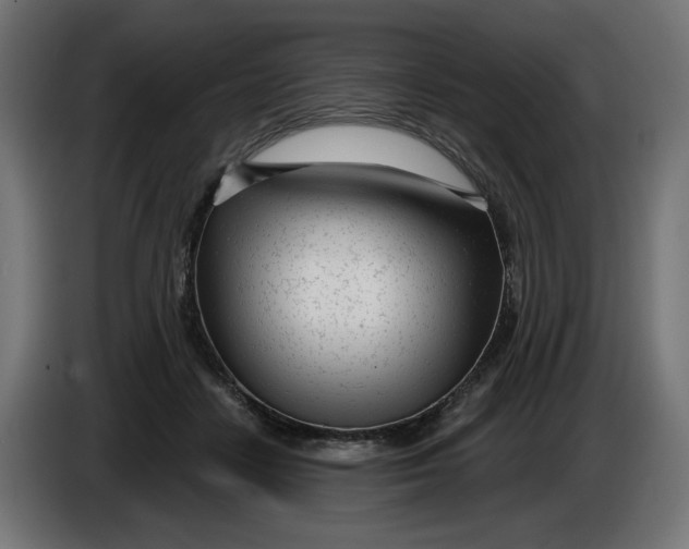 X0000086100458200704132151