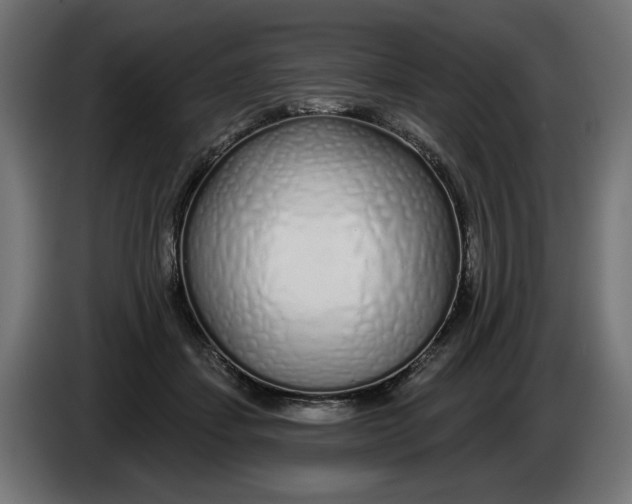X0000086100459200704132151