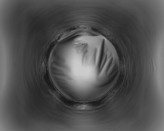 X0000086100460200704132151