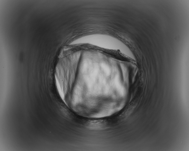 X0000086100461200704132151