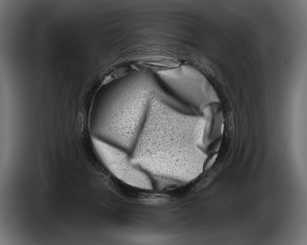 X0000086100463200704132151