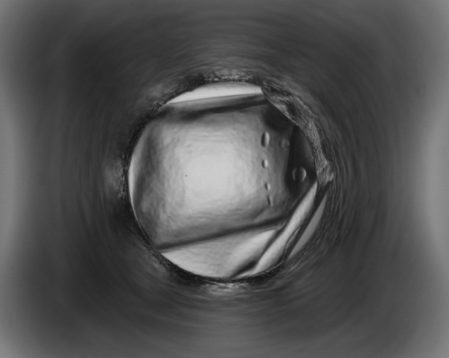 X0000086100465200704132151