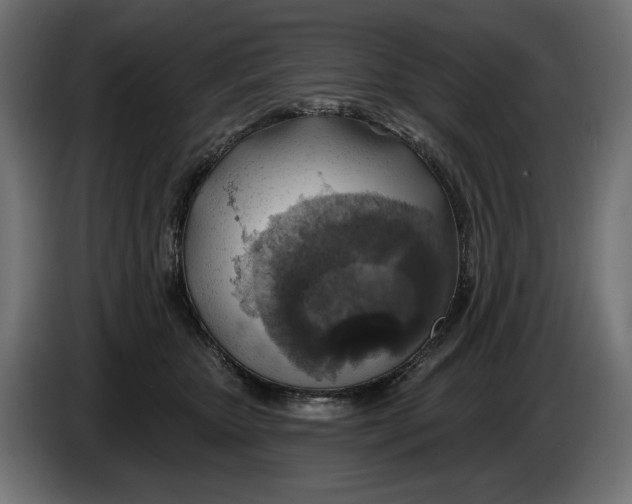 X0000086100467200704132151