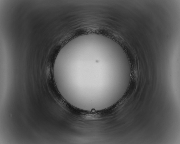 X0000086100468200704132151