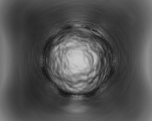 X0000086100469200704132151