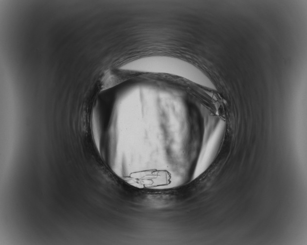 X0000086100470200704132151