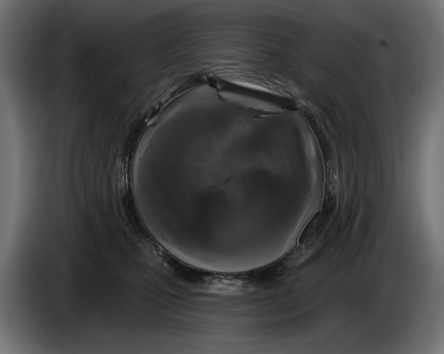 X0000086100471200704132151