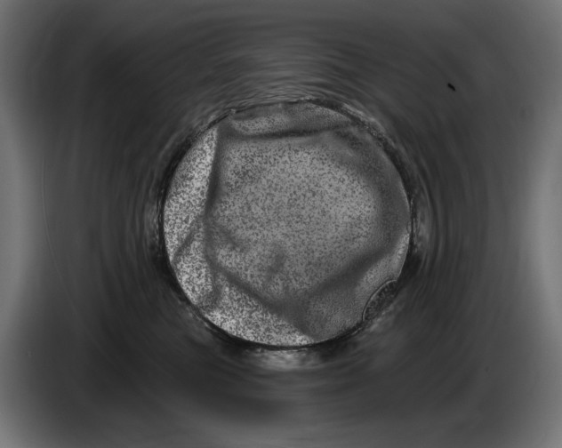 X0000086100473200704132151