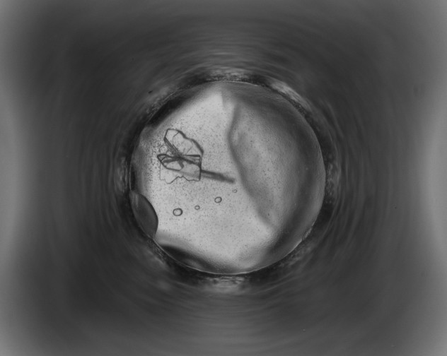 X0000086100474200704132151