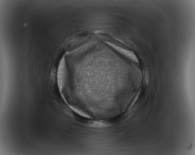 X0000086100475200704132151