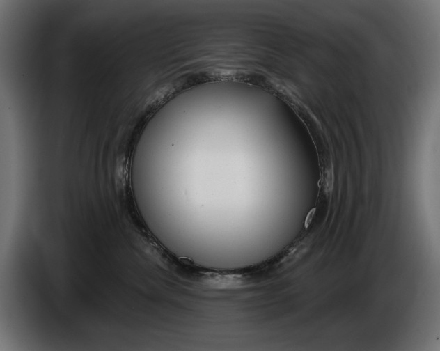 X0000086100476200704132151