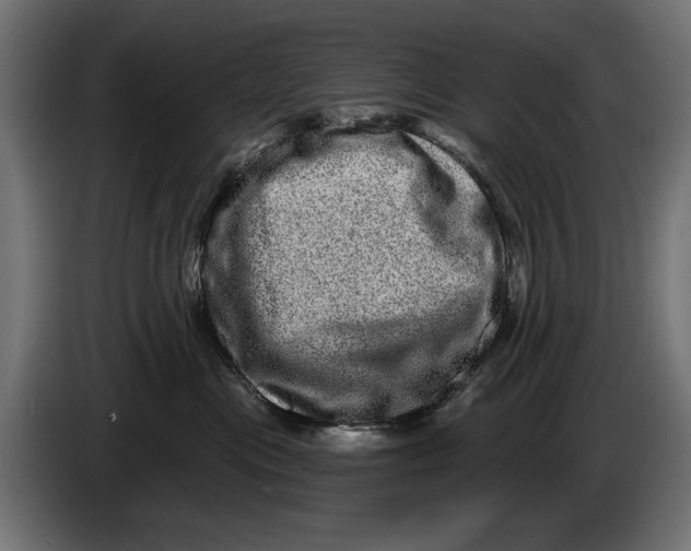 X0000086100477200704132151