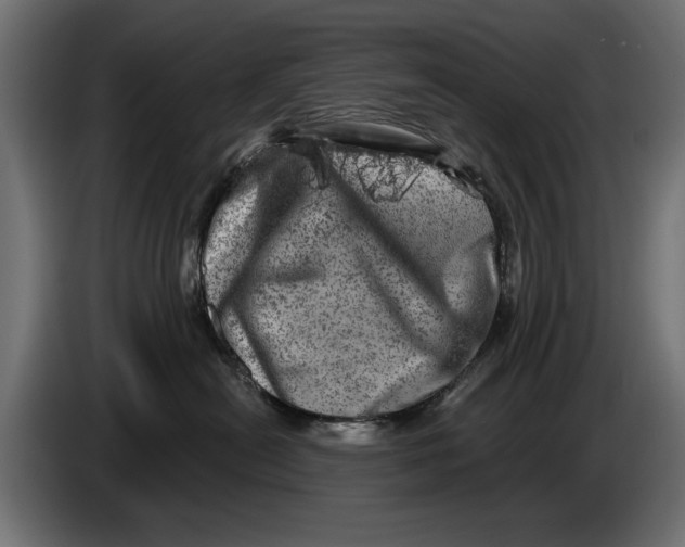 X0000086100478200704132151