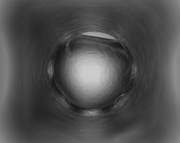 X0000086100479200704132151