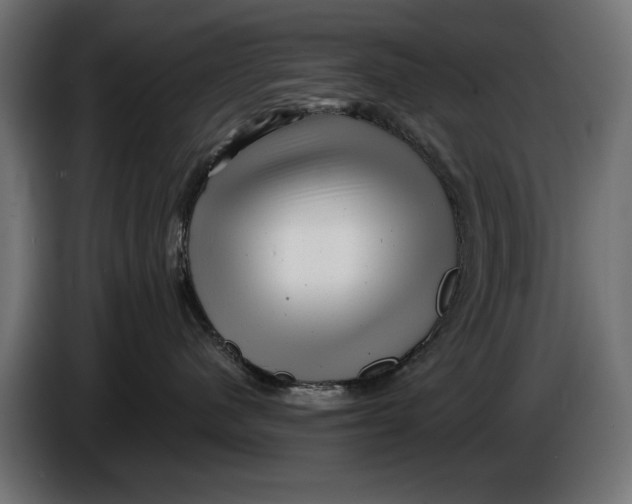X0000086100480200704132151