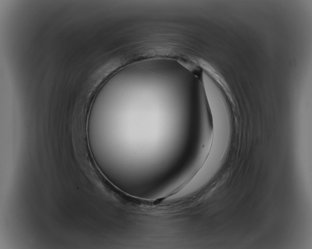 X0000086100481200704132151
