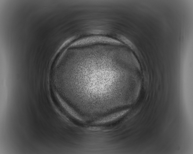 X0000086100482200704132151