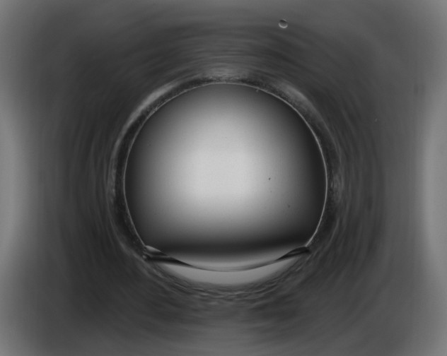 X0000086100484200704132151