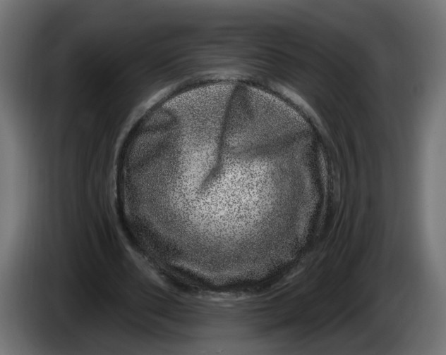 X0000086100486200704132151