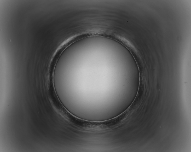 X0000086100488200704132150